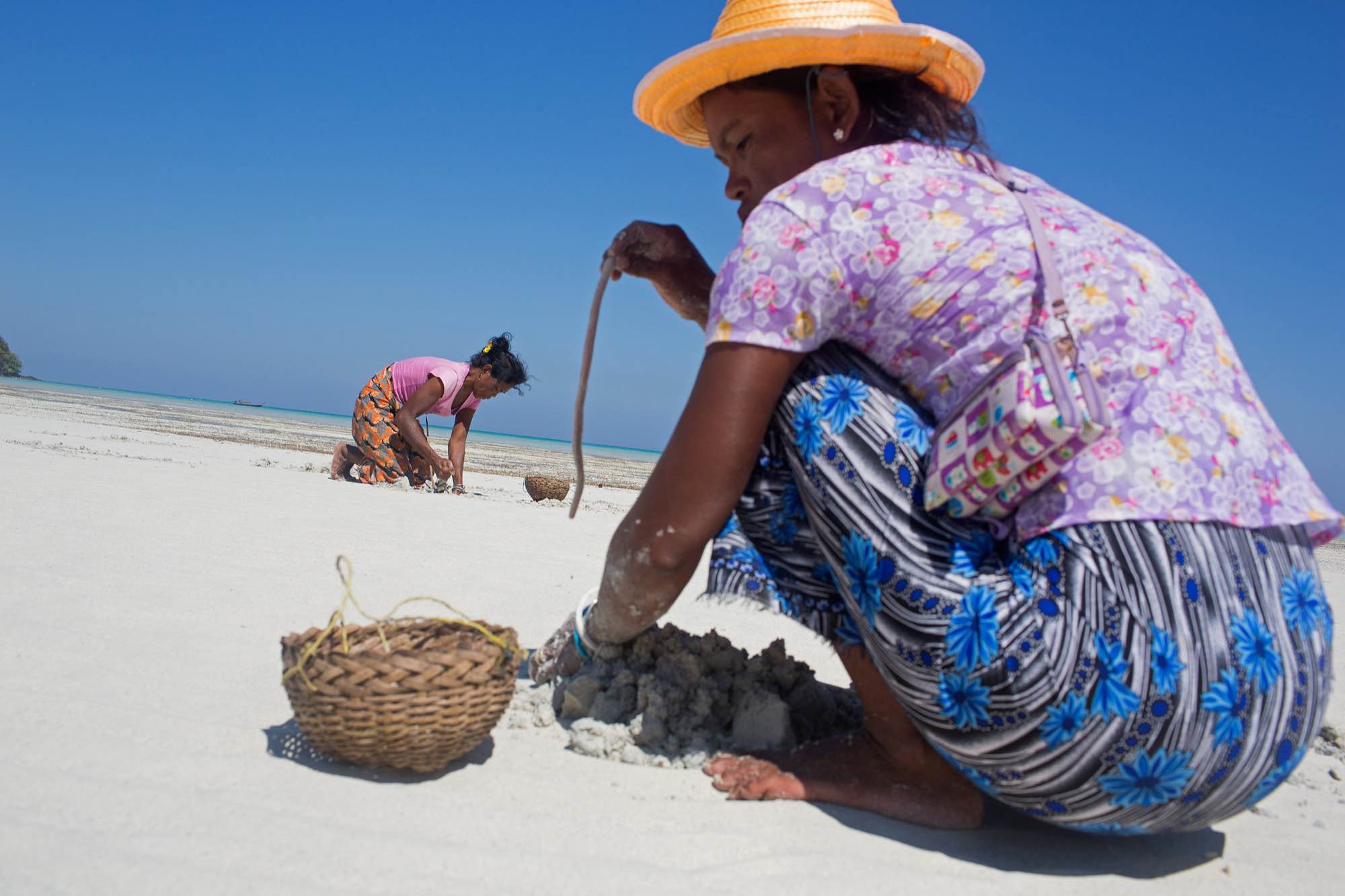 Moken women forage for food during low tide at a beach near their village in Ko Surin National Park.