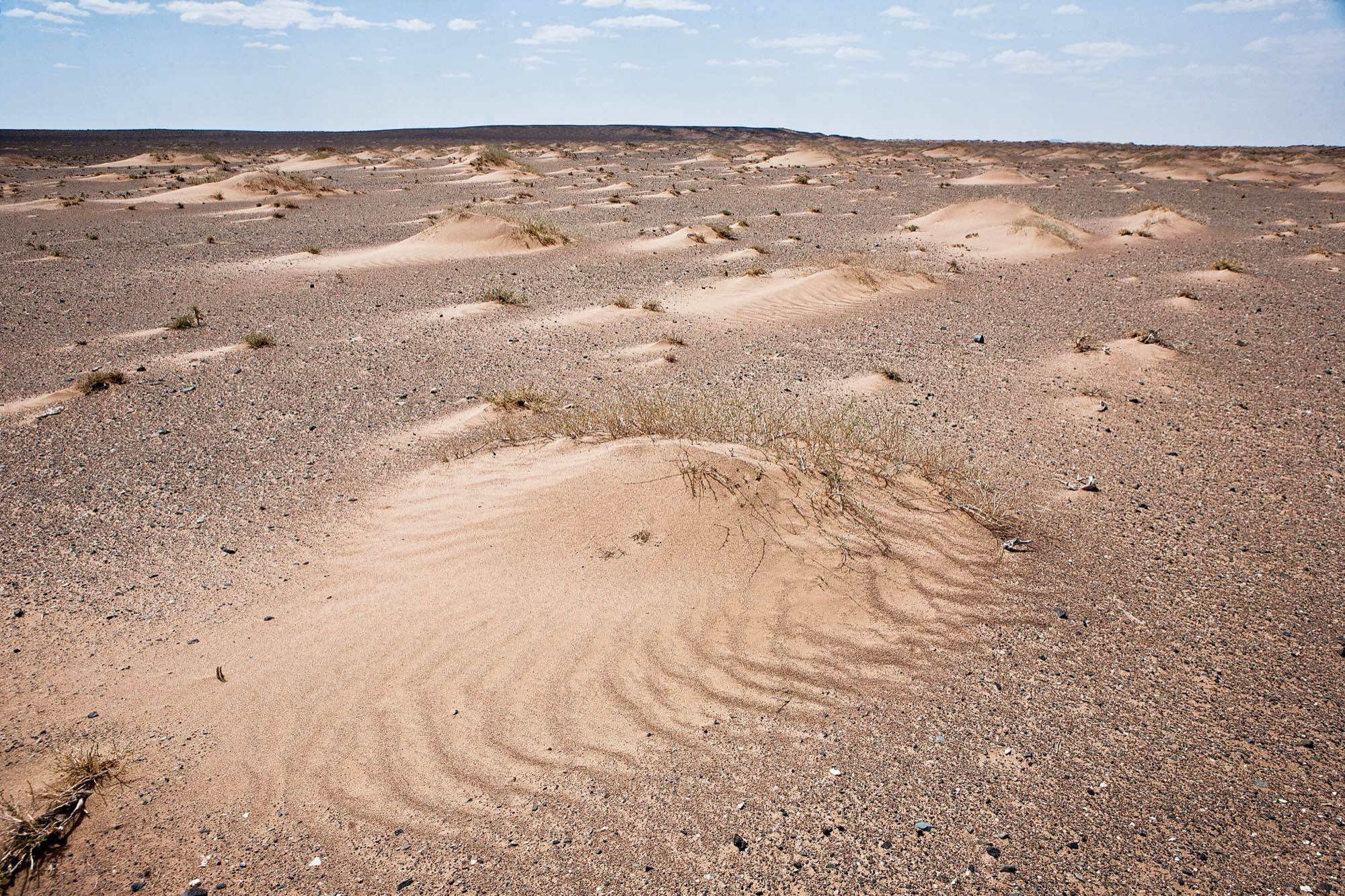 Decreased precipitation and stronger winds, a product of climate change, has led to the erosion of fertile topsoil and the expansion of the Gobi Desert.