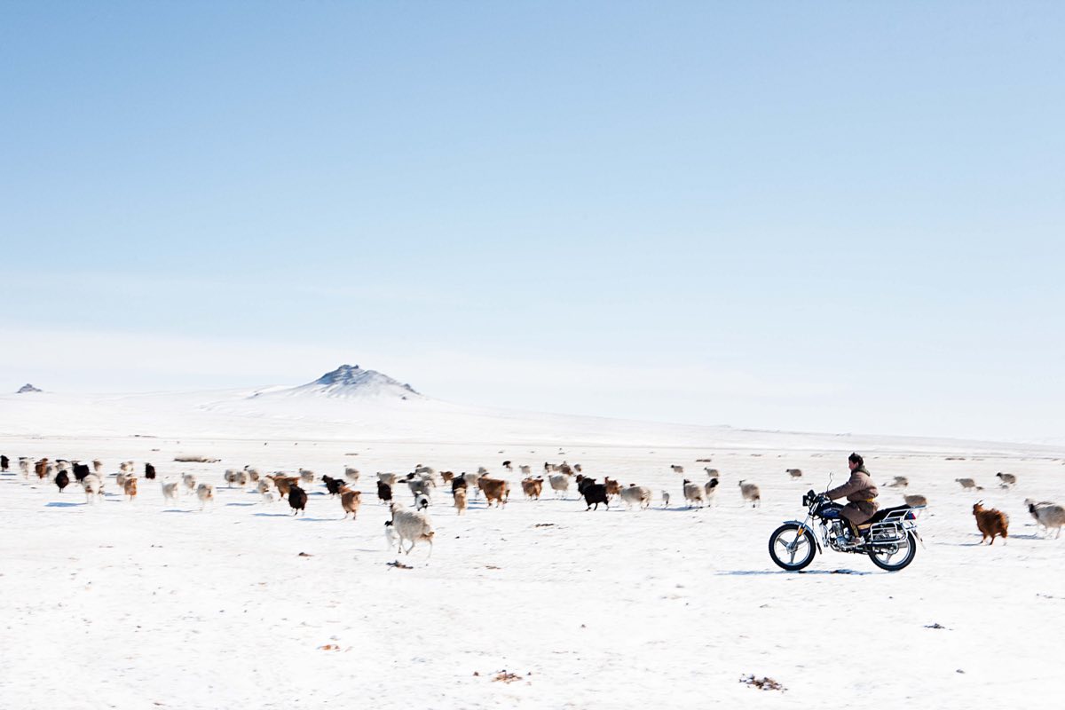 Mongolia: Nomads No More, Mongolia