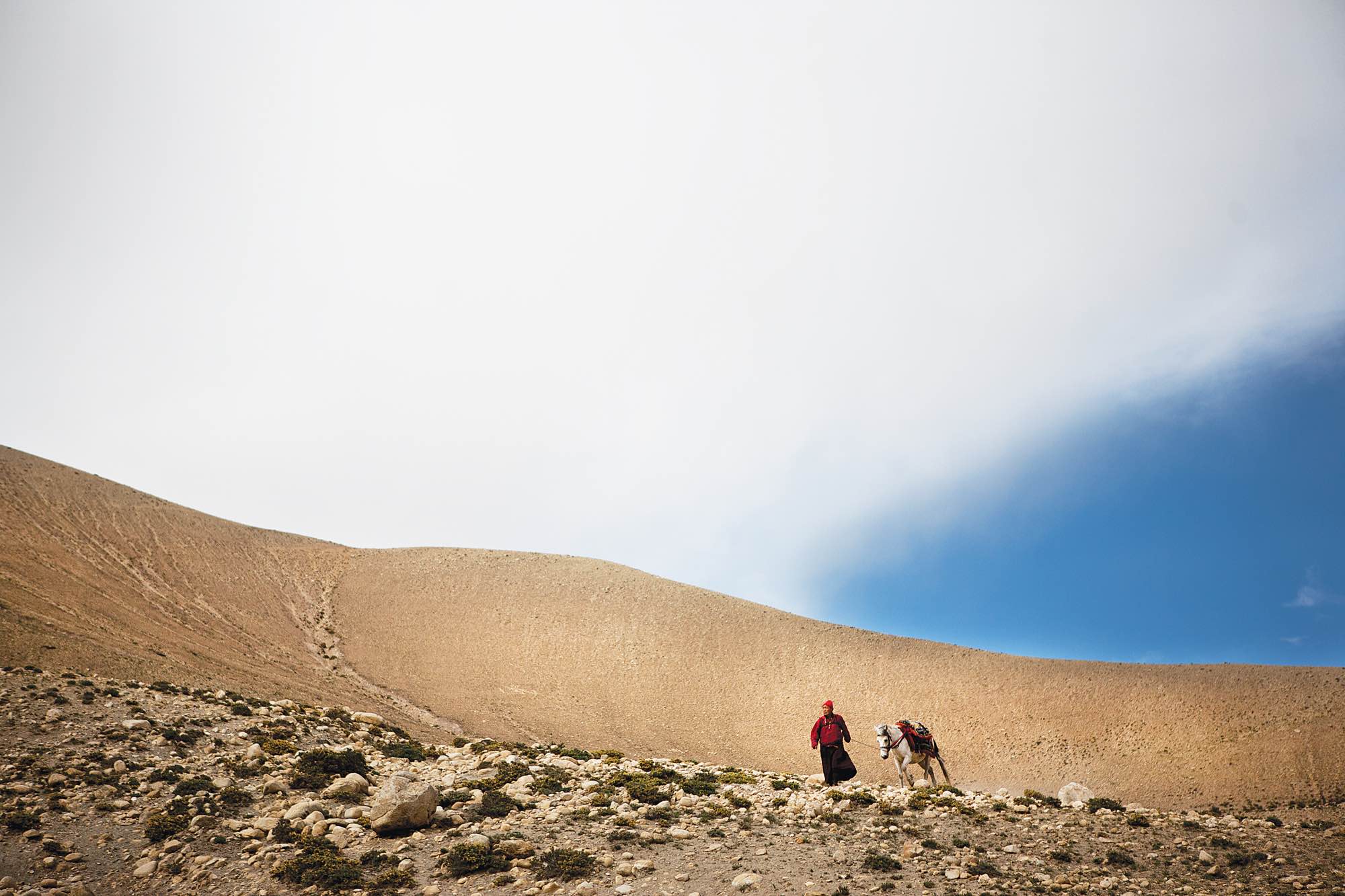 A monk leads a horse between the towns of Ghemi and Dhakmar.