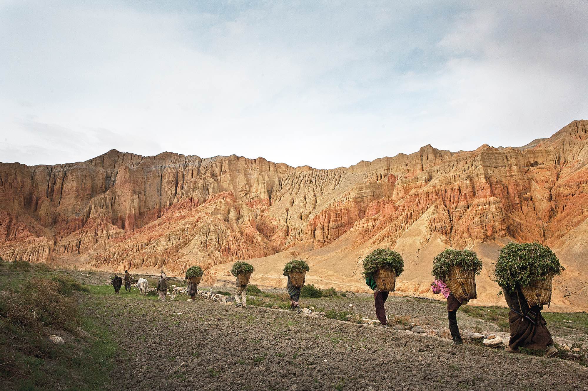 Dhakmar villagers return to the town after a day of working in the fields.