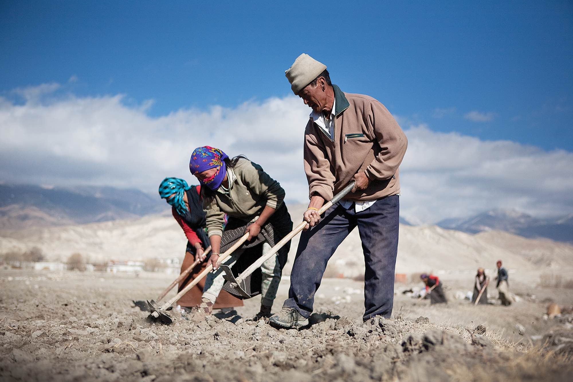 A group of Loba men gather in the fields outside of Lo Manthang during the planting season.