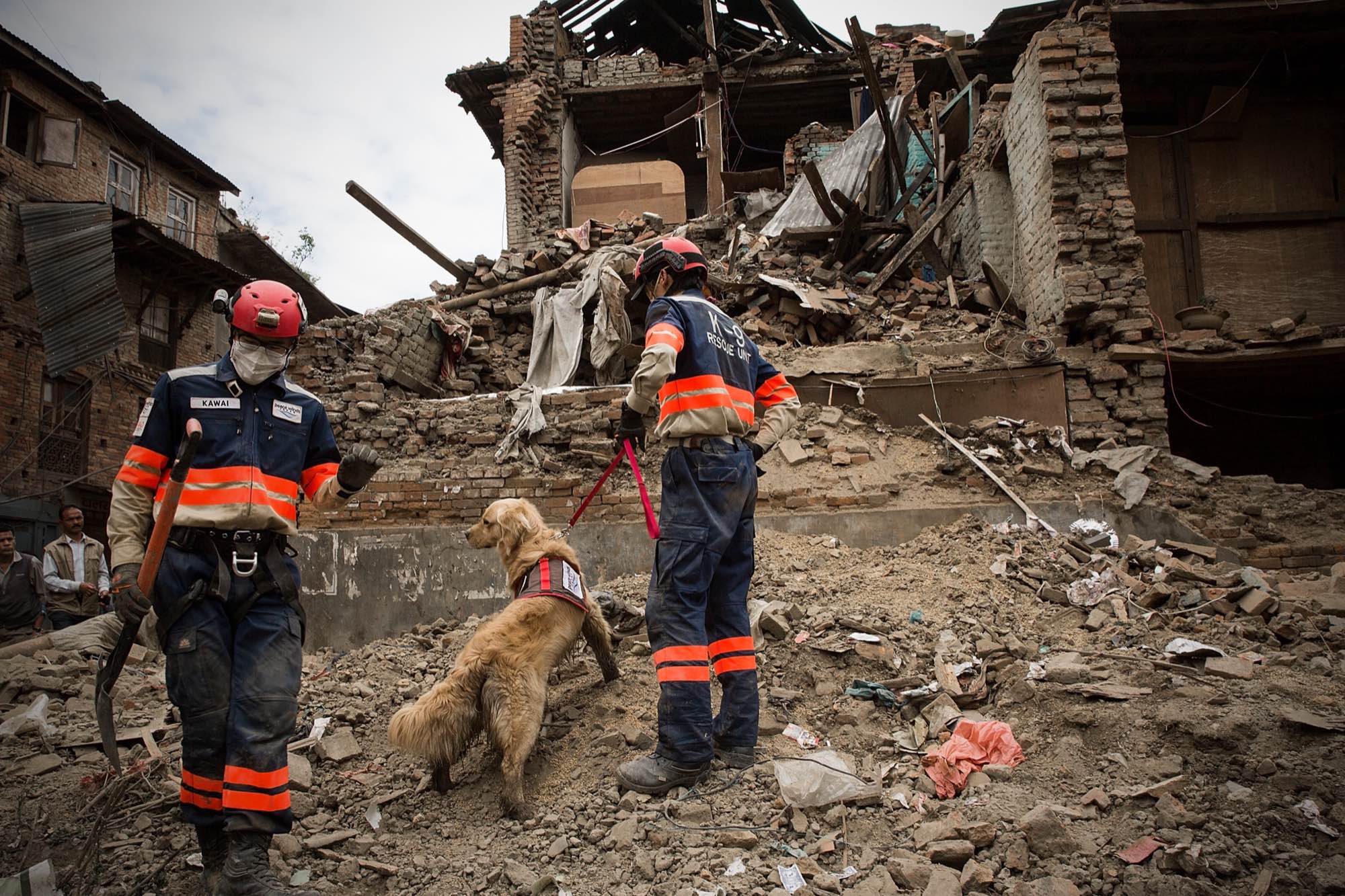 A Japanese K-9 unit searches for the body of a baby in the rubble of a collapsed home in Bhaktapur, Nepal on April 30, 2015.