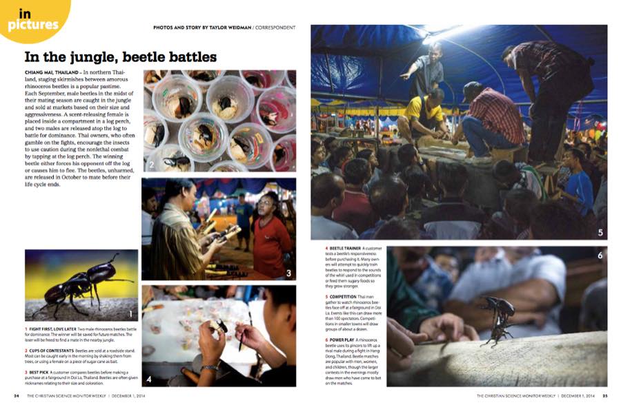 The Christian Science Monitor — In the Jungle, Beetle Battles.