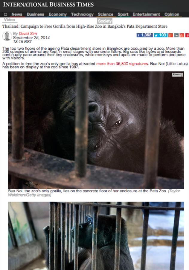 International Business Times — Campaign to Free Gorilla From Bangkok's Pata Zoo.