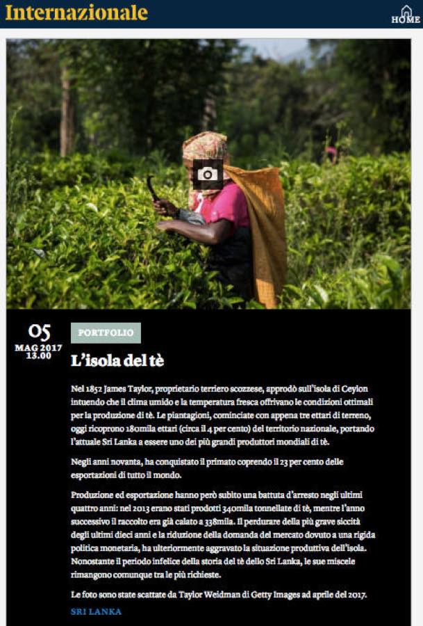 Internazionale — L'isola del tè.