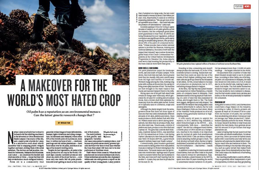 Nature — A Makeover for the World's Most Hated Crop.