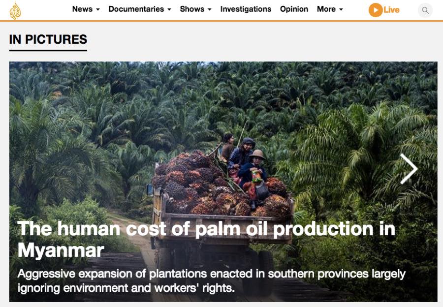 Al Jazeera — The Human Cost of Palm Oil Production in Myanmar.