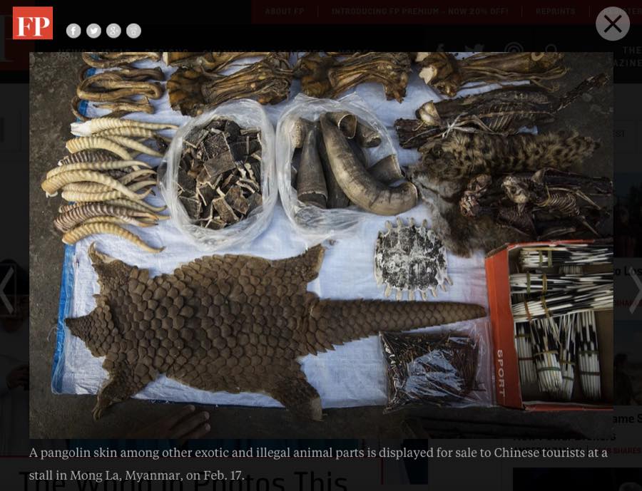 Foreign Policy — The World in Photos This Week: Mong La.