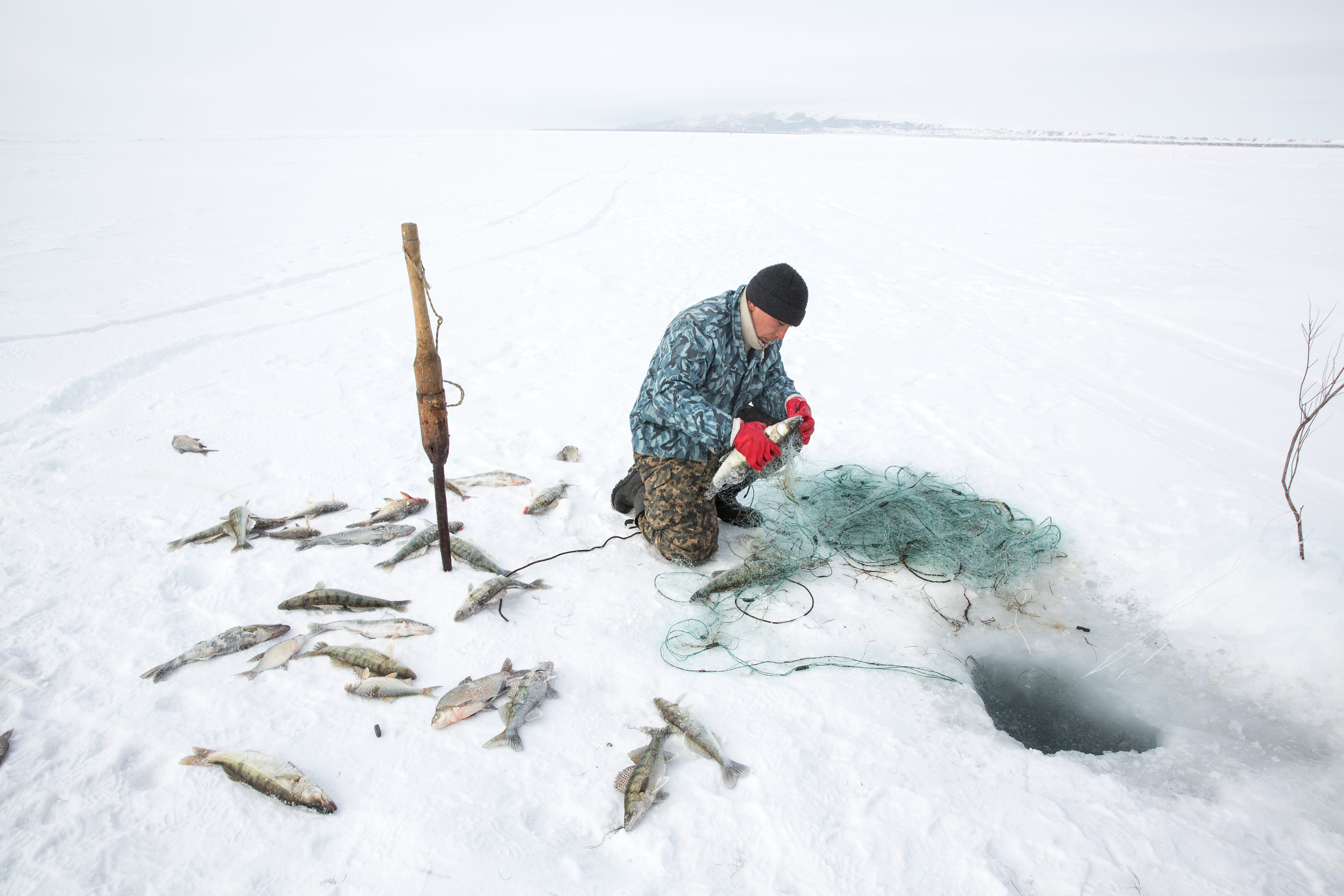Рыба аральского моря. Аральское море рыбалка. Аральское море рыбаки. Рыбаки Арал. Рыболовство на Арале.